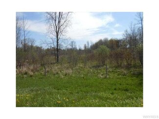 2347 Kenyonville Rd, Albion, NY 14411
