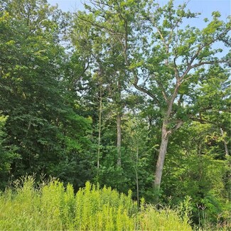 XXX E Race Ave, Elmwood, WI 54740