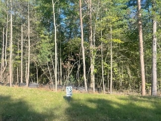 LOT 13 Clear Creek Preserve Way, Ellijay, GA 30536