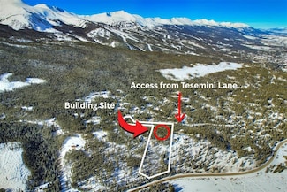 62 Tesemini Ln, Blue River, CO 80424