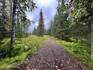 29246 Sterling Hwy, Anchor Point, AK 99556