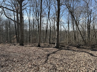 0 Hester Beasley Rd Unit RTC2796881, Nashville, TN 37221