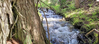 574 Poco Lobo Rd, Yaak, MT 59935