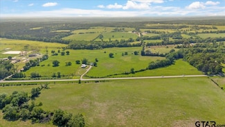 335 County Road 4802 & Hwy 110, Troup, TX 75789