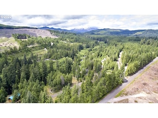 1 Lodgepole Ln, Skamania, WA 98616