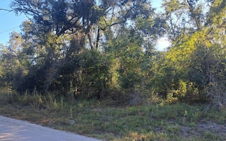 TBD SE Oak Tree Rd, Branford, FL 32066