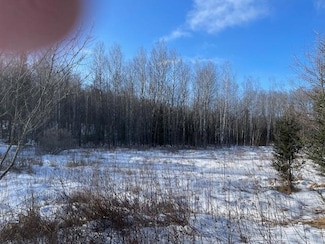 Lot 45 Big Cub Trail, Laona, WI 54541