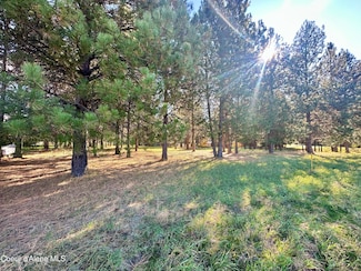 1 Rim Dr, Moyie Springs, ID 83845