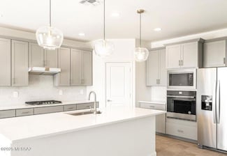 1301 E Pecan Meadow Ln, Sahuarita, AZ 85629