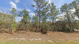 00 SW 137 Ct, Dunnellon, FL 34432