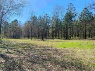 Tract 2 Opitz Rd, Haskell, AR 72015