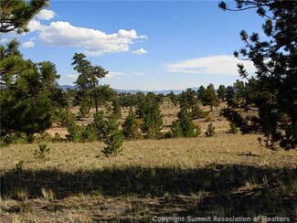 100 Souix Trail, Hartsel, CO 80449