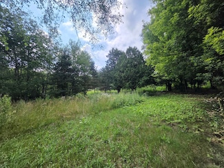 306 E Condensery Rd, Sheridan, MI 48884