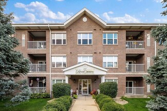 10 N Gilbert St Unit 313, South Elgin, IL 60177