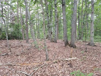 0 Ed Craig Rd Unit 3401754, Vale, NC 28168