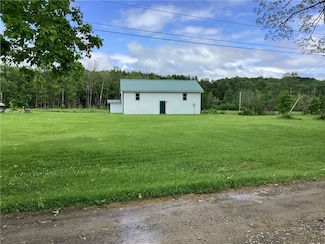 117 Wrench Ln, Bainbridge, NY 13733