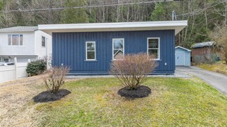 11 Birch Ln, Swan Lake, NY 12783