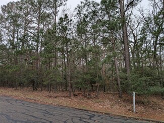 0 Hann Place Unit 89483457, Huntsville, TX 77320