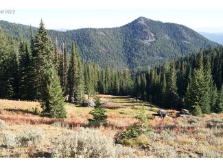 0 Cracker Creek Rd Unit 22142942, Sumpter, OR 97877