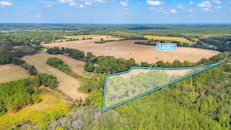3 Acres Pacel E Prescott Rd, Florala, AL 36442