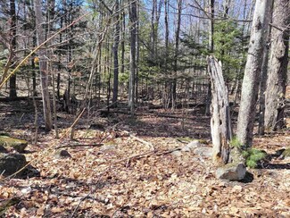 Lot 8 Merrymeeting Rd, New Durham, NH 03855