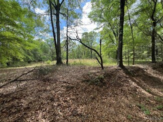 498 County Road 211, Jack, AL 36346