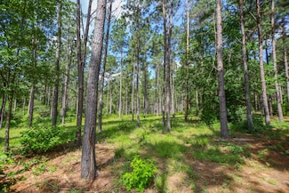 1950 Buckhorn Creek Dr, Crockett, TX 75904