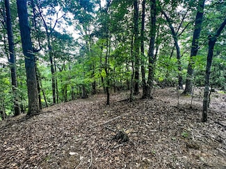 00 Whitney Blvd Unit Lot 124, Lake Lure, NC 28746