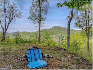 0 Nichols at Tate City Ln Unit 6 10559154, Clayton, GA 30525