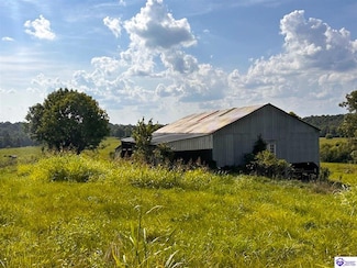 96 Smiley Basham Ln, Hudson, KY 40145