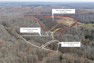 1379 Little Swan Creek Rd, Hohenwald, TN 38462