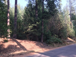 7676 Winding Wa, Grizzly Flats, CA 95636