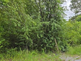 00 County Rd, Riceville, TN 37370