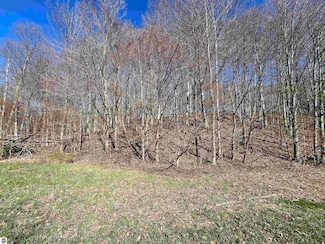Parcel C Lobb Rd, Crystal Lake Township, MI 49635