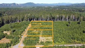 9999 King Johns Way Lot 4 Crow, Forks, WA 98331