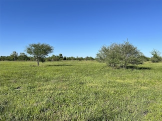 0 County Road 26, Damon, TX 77430