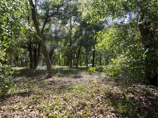 131 Swan Lake Rd, Melrose, FL 32666
