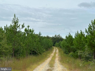 0 Bethlehem Road (Rt 636) (Tract Bethlehem-1) Unit VACV2008304, Bowling Green, VA 22427