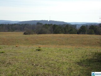 0 Posey Rd Unit Tract 2 874327, Blountsville, AL 35031
