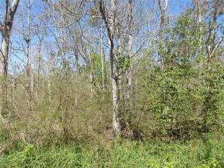 0 Stanton Rd, New Orleans, LA 70131