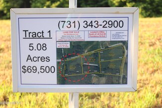 Tract 1 Ebenezer Rd, Mercer, TN 38392