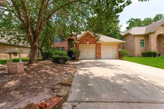239 N Wimberly Way, Conroe, TX 77385