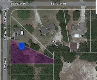 TBD SE 94 Ave, Belleview, FL 34420