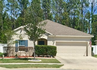 3299 Plumlee Ct, Grand Island, FL 32735