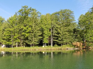 NHN Long Lake Rd, Hillman, MI 49746