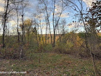 0 Preacher's Camp Dr Unit PM-137021, Towamensing Township, PA 18235