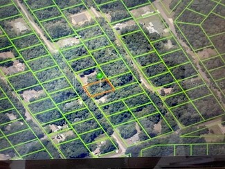 3645 E Yandle Place, Inverness Highlands North, FL 34453