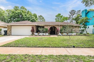 4618 Landscape Dr, Tampa, FL 33624