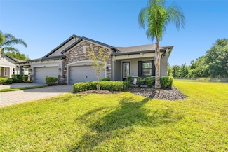 19325 Hawk Valley Dr, Tampa, FL 33647