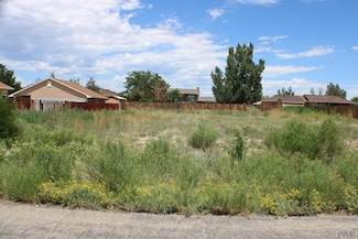 355 W Dunlop Dr, Pueblo West, CO 81007